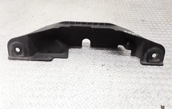 Engine bonnet/hood lock trim molding
