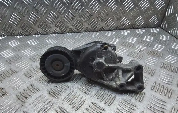 Seat Alhambra (Mk1) Generator/alternator belt tensioner 408000 4080103