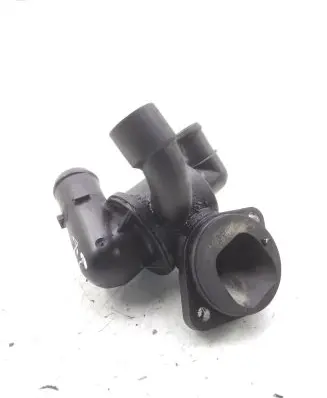 Thermostat/thermostat housing