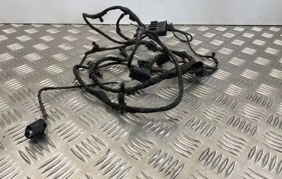 BMW 6 F12 F13 Other wiring loom 9269983