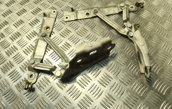 Tailgate/trunk/boot hinge
