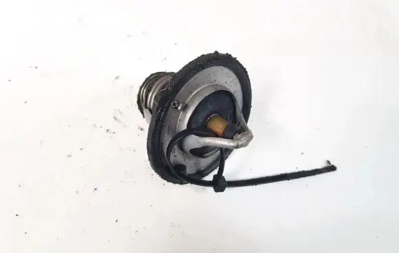 Peugeot 206 Thermostat housing 