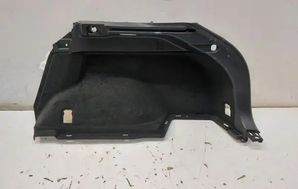 Lexus RX V Trunk/boot side trim panel TAPBAGPRAW