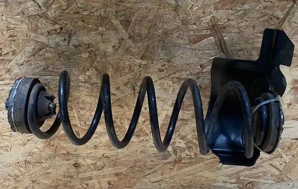 Rear coil spring