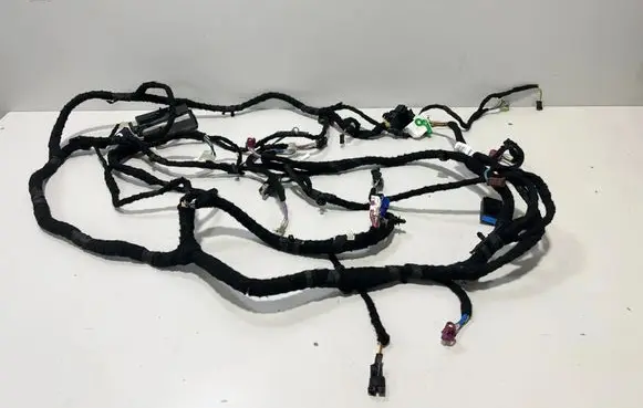 BMW X7 G07 Other wiring loom 2469073 5A5B104