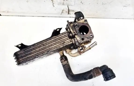 EGR valve cooler