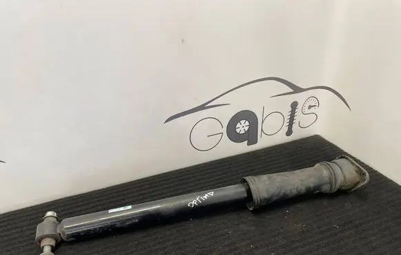 KIA Optima Rear shock absorber/damper 55311-D4360