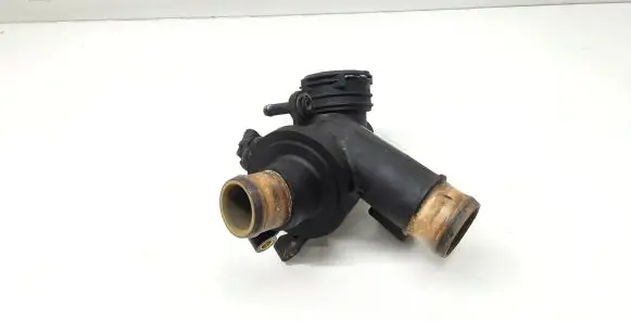 Thermostat/thermostat housing