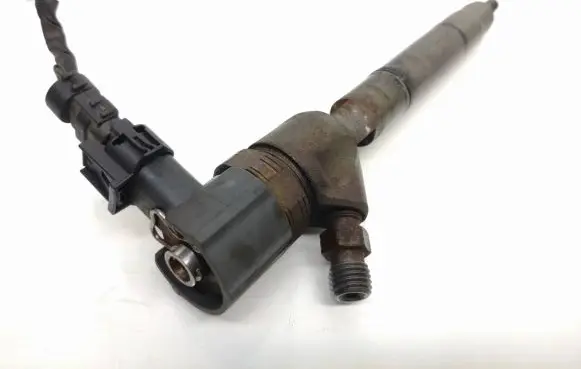 Hyundai i30 Fuel injector 0445110256 338002a400