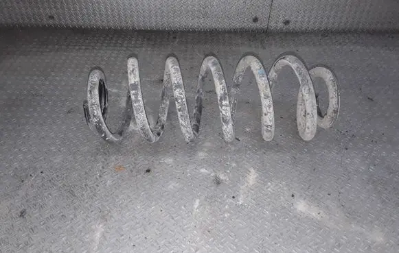 Seat Leon (1P) Rear coil spring
