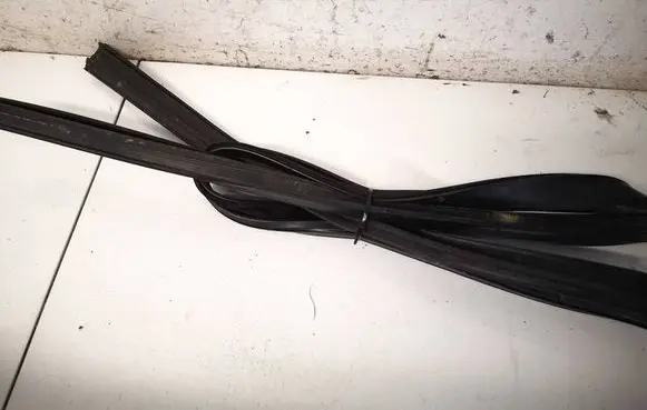 Jaguar XF Rubber seal front coupe door