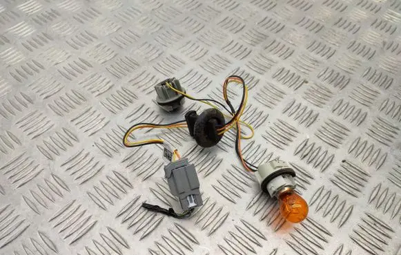 Ford Focus Tail light bulb cover holder
