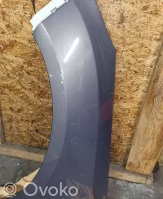 Ford Focus Fender 