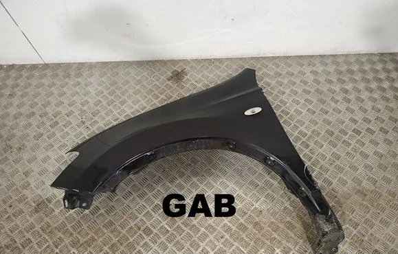 Nissan Qashqai+2 Fender