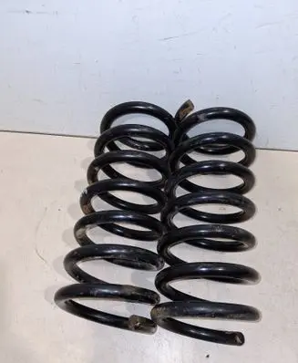 Opel Antara Rear shock absorber with coil spring 