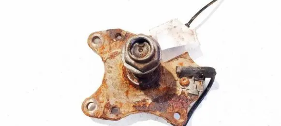 Peugeot 307 Stub axle 