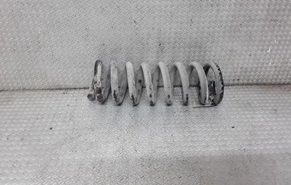 Chrysler 300 - 300C Rear coil spring