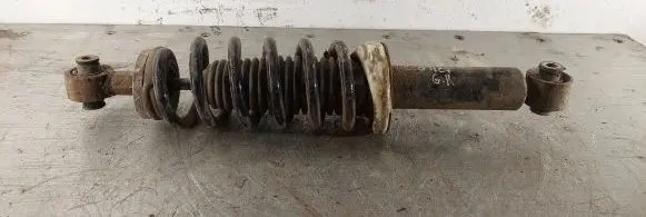 Peugeot 407 Rear shock absorber with coil spring 
