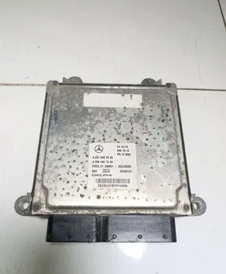 Mercedes-Benz E W212 Engine control unit/module A6519007500 A0064461540 28336101