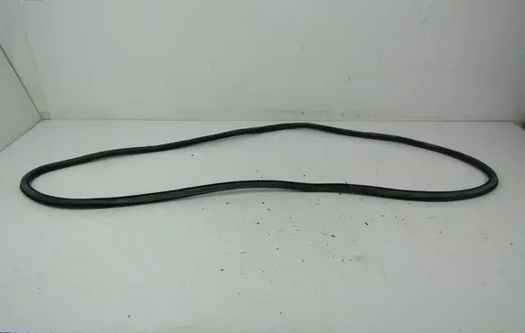 Volkswagen PASSAT B6 Front door rubber seal 
