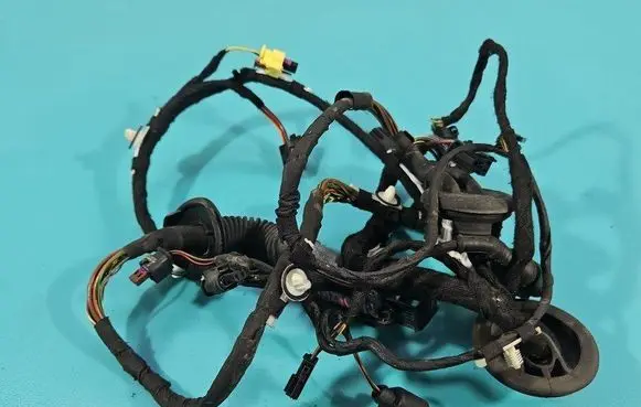 Front door wiring loom