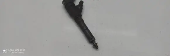 Peugeot 406 Fuel injector 9640088780