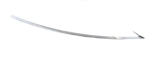 Tesla Model X Front door glass trim molding 112870700C
