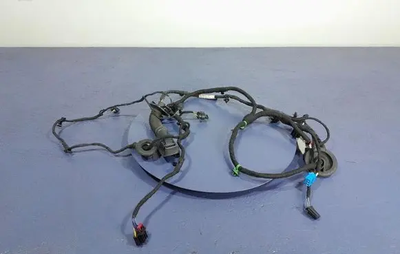 Audi A8 S8 D2 4D Other wiring loom 4N0971687AN