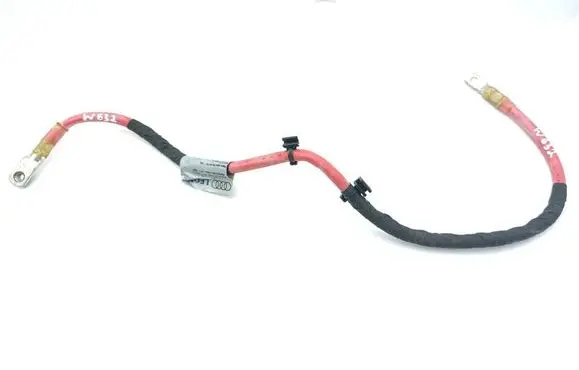 Other wiring loom