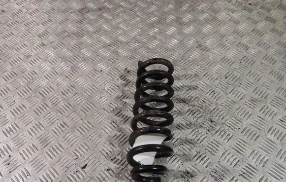 Mercedes-Benz C W205 Rear coil spring
