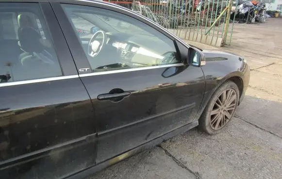 Renault Laguna III Front door 