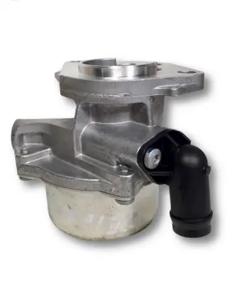 Nissan Qashqai Vacuum pump 146502327R