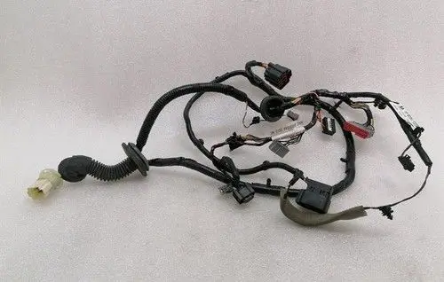 Aston Martin Vanquish V12 Front door wiring loom/harness boot BG3314630AA