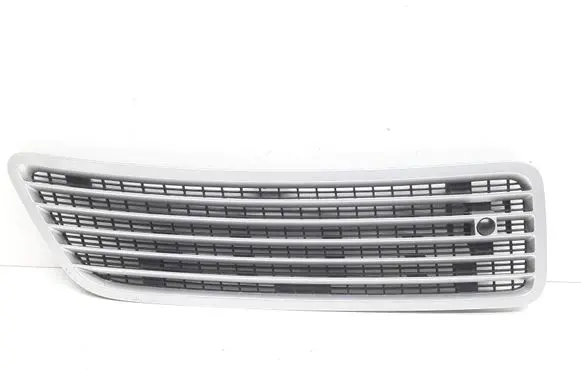 Mercedes-Benz S W221 Bonnet/hood grill 2218800205