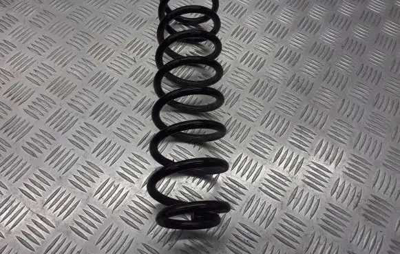 Renault Megane II Rear coil spring BRAK