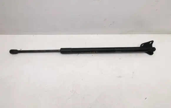 Ford Edge II Tailgate/trunk strut/damper KT4BR406A10AB