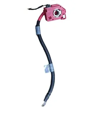BMW X6 E71 Positive cable (battery) 6113698222702 698222702 10057310