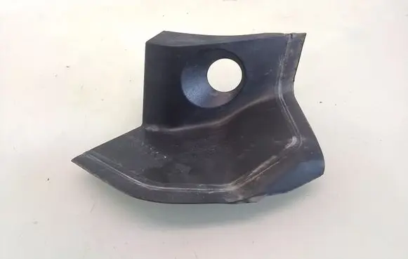 Rear/tail light trim molding