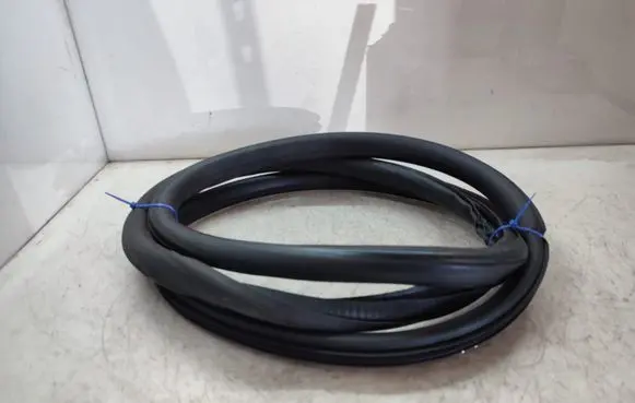 Opel Insignia A Front door rubber seal 