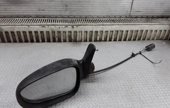 Ford Galaxy Manual wing mirror E1010414