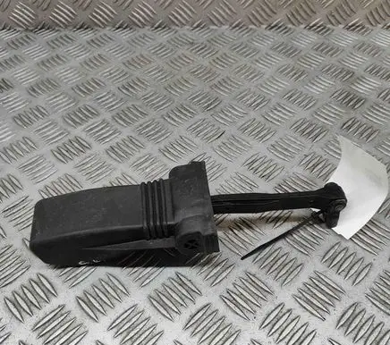 Audi A5 Rear door check strap stopper 8W8839249