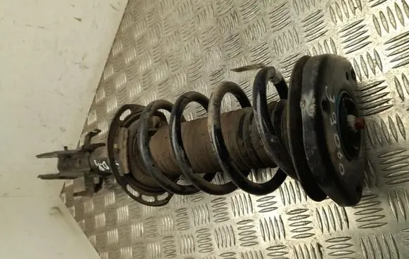Ford Mustang Mach-E Front shock absorber with coil spring LJ9C18045EBC