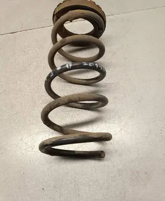 Rear coil spring