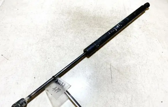 Renault Scenic II - Grand scenic II Tailgate/trunk strut/damper 0625n