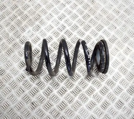 Tesla Model Y Rear coil spring 118847400B