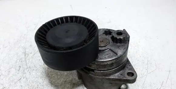 Mercedes-Benz E W210 Alternator belt tensioner F231071
