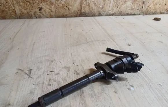 Citroen C4 I Fuel injector 0445110297
