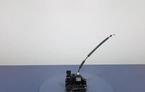 Fiat Punto (199) Rear door lock 51797570