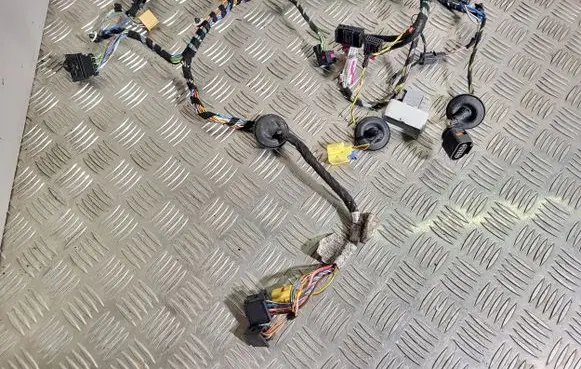 Skoda Octavia Mk2 (1Z) Front door wiring loom