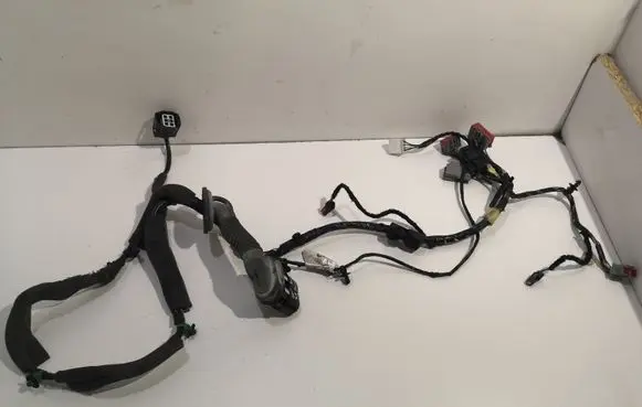 Ford Focus Front door wiring loom